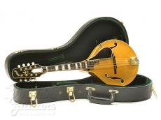 GILCHRIST  Model 3<David Grisman Collection> 