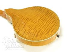 GILCHRIST  Model 3<David Grisman Collection> _3