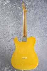 Fender 1975 Telecaster "Rosewood FB" -Blonde-【4.10kg】_5