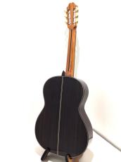 ASTURIAS DOUBLE TOP_6