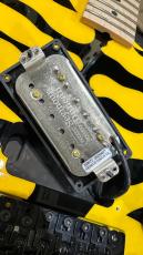 ESP Yellow Tiger George Lynch Signature Model_11