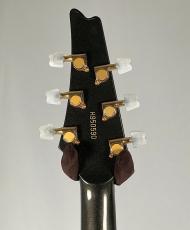 Ibanez 【1995年限定生産】PS 10 LTD -Paul Stanley Signature- 【USED】_9