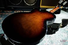 Gretsch G6119-1962FT Tennessee Rose / 2009_9