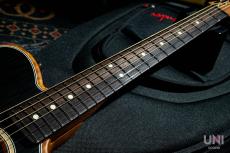 Fender Acoustasonic Player Telecaster / 2022_4