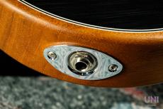 Fender Acoustasonic Player Telecaster / 2022_6