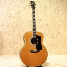 Guild F-50R 1975_3