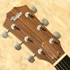 Taylor 320 2015_8