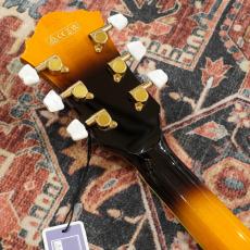 Ibanez GB10SE-BS (Brown Sunburst) 【George Benson Model】【特価】【フルアコ】_6