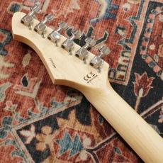 Aria Pro II 714-AE200 BKDM (Black Diamond) 【丈夫なギグケース付属】_7