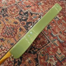 Fender Player II Telecaster Rosewood Fingerboard / Birch Green_6