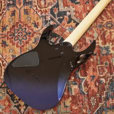 Ibanez RG421DX-TWS (Twilight Shade) 【SPOTモデル】_7