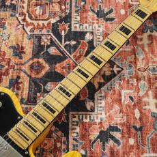 Black Smoker Trad Master Series DELTA-S WHS/VintageNatural/MediumAged 【特価】【国産ハイエンド】_5