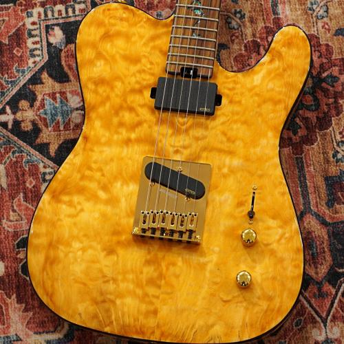 Aria Pro II TEG-780 / N (Natural) 【特価】【数量限定品】