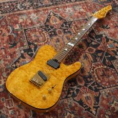 Aria Pro II TEG-780 / N (Natural) 【特価】【数量限定品】_2