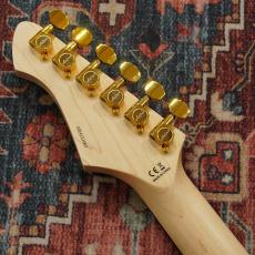Aria Pro II TEG-780 / N (Natural) 【特価】【数量限定品】_7