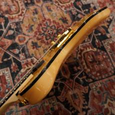 Aria Pro II TEG-780 / N (Natural) 【特価】【数量限定品】_9