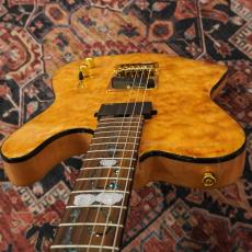Aria Pro II TEG-780 / N (Natural) 【特価】【数量限定品】_10