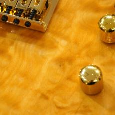 Aria Pro II TEG-780 / N (Natural) 【特価】【数量限定品】_11