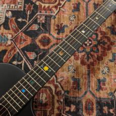 NATASHA ASTEROID NSX Cosmic Black【新世代のスマートギター】_5