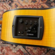 YAMAHA NCX1FM 【エレガット】【展示入替特価】_10