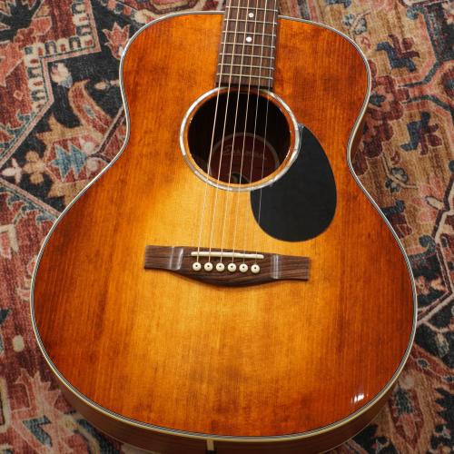 Eastman Traveler PCH2-TG / CLA【トップ単板】【トラベルサイズ】【特価】