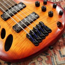 Ibanez SRD905F-BTL (Brown Topaz Burst Low Gloss)【フレットレスベース】【アウトレット特価】_3