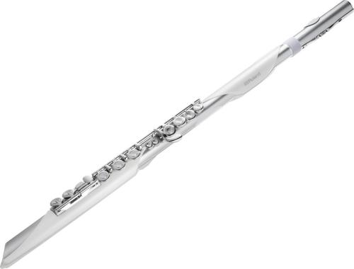 Roland Aerophone Brisa