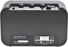 True Dyna TDBAP-100 【8W超小型ベースアンプ】_3