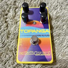 catalinbread Topanga YELLOW 【山野楽器限定カラー】_2
