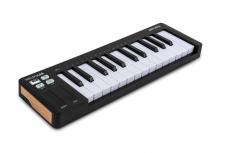 Arturia MicroLab mk3 / BK (ブラック) 【MIDIキーボードコントローラー】_2