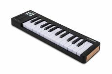 Arturia MicroLab mk3 / BK (ブラック) 【MIDIキーボードコントローラー】_4