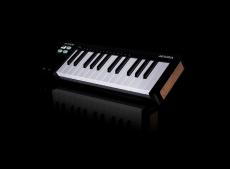 Arturia MicroLab mk3 / BK (ブラック) 【MIDIキーボードコントローラー】_6