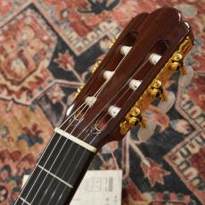 ASTURIAS PRELUDE/S【アウトレット特価】【日本製】【弦長650mm】_6