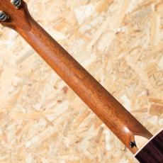 Taylor C14ce B6019_7