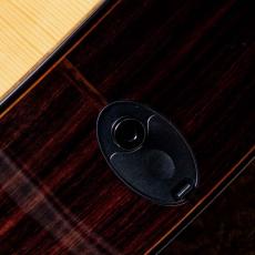 Taylor 914ce LTD Cindy Inlays 2021_10