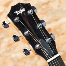 Taylor 212ce_8