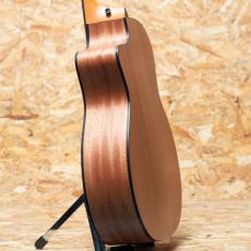 Taylor 114ce_5