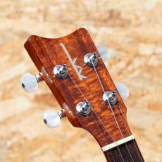 Kamaka HF-2L Concert Long Neck 2012_8
