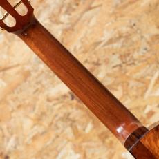 KOU CEDK-LN Cedar Top Concert Semi Long Neck_7