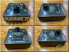 tc electronic DITTO X2 LOOPER_4