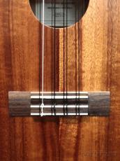 Kamaka HF-38 Tenor 8st #240276 【テナー/8弦】【48回金利0%対象】【送料込】_5