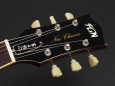 FgN NLS10R ~Gold Top~ Modified_3