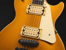 FgN NLS10R ~Gold Top~ Modified_5