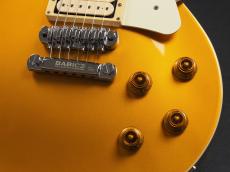 FgN NLS10R ~Gold Top~ Modified_6