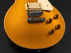 FgN NLS10R ~Gold Top~ Modified_7