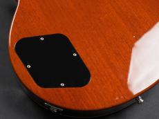FgN NLS10R ~Gold Top~ Modified_12