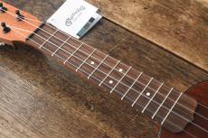 Martin Centennial Concert Uke_3