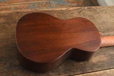 Martin Centennial Concert Uke_5