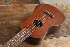Martin Centennial Concert Uke_8