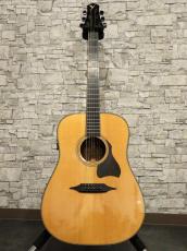 SH GUITARS SD-600KL_12